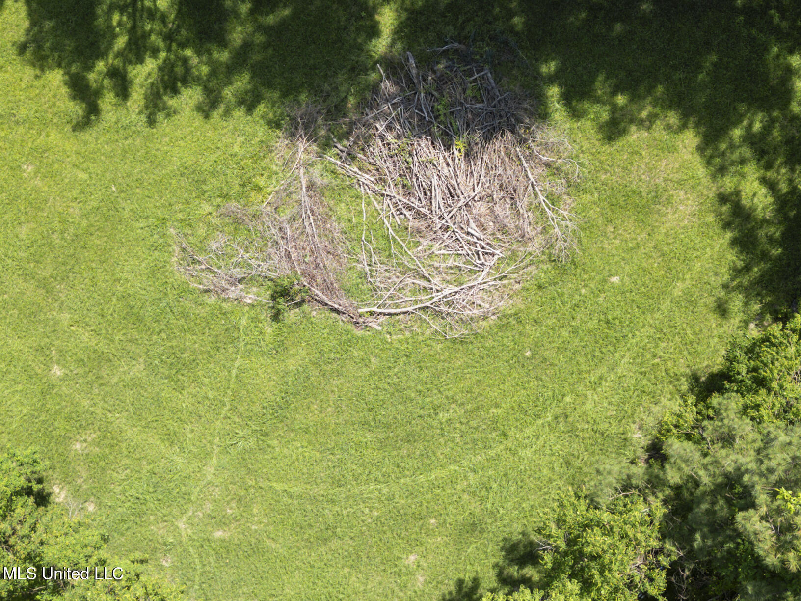 8 Twelve Oaks Place Property Photo 60