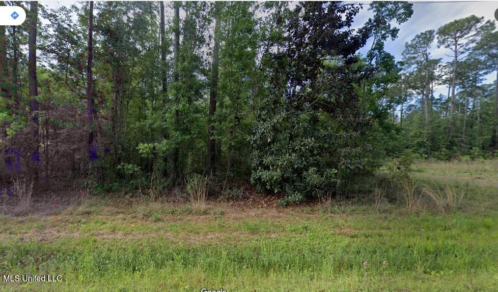 0 E Lincoln Street Property Photo 1