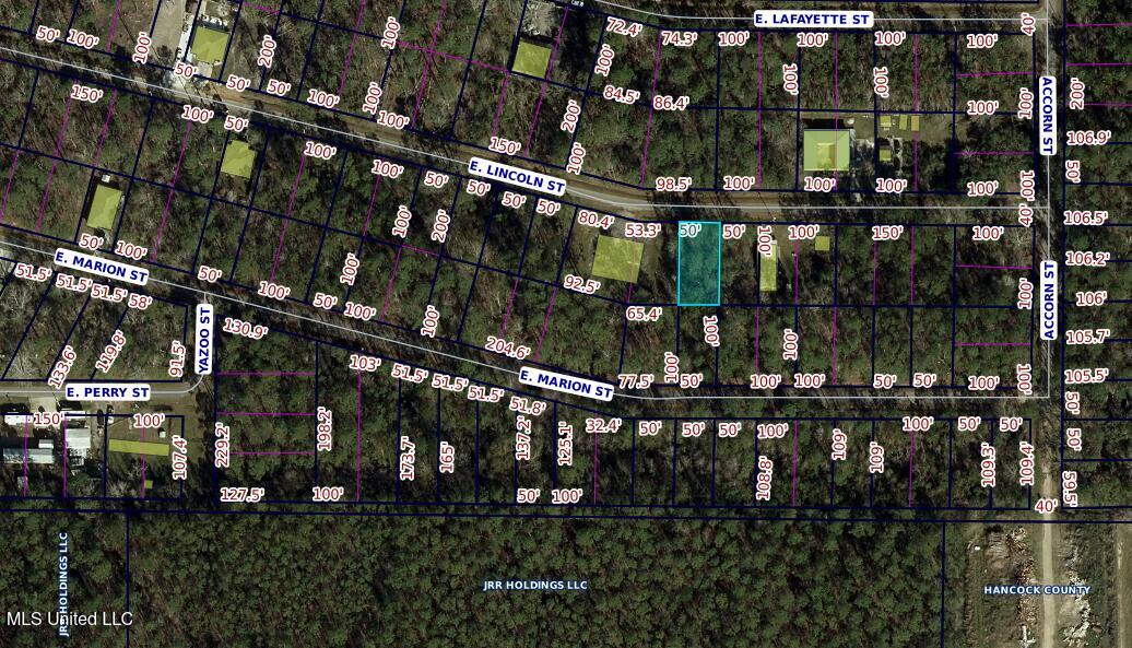 0 E Lincoln Street Property Photo 2