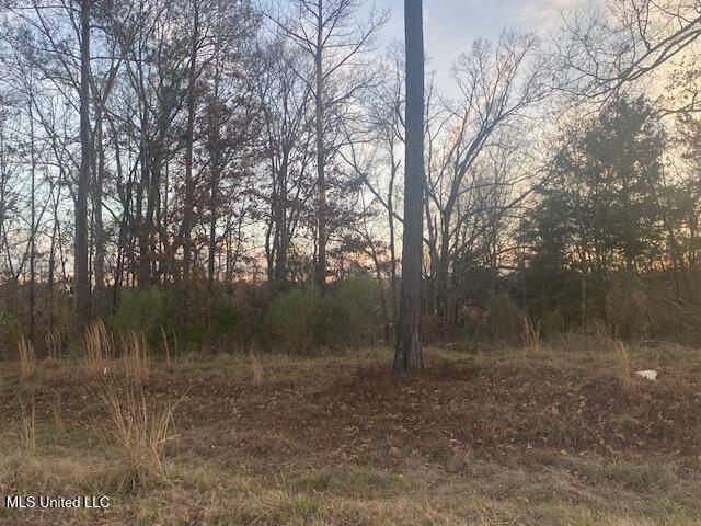 213 Hidden Creek Circle Property Photo 1