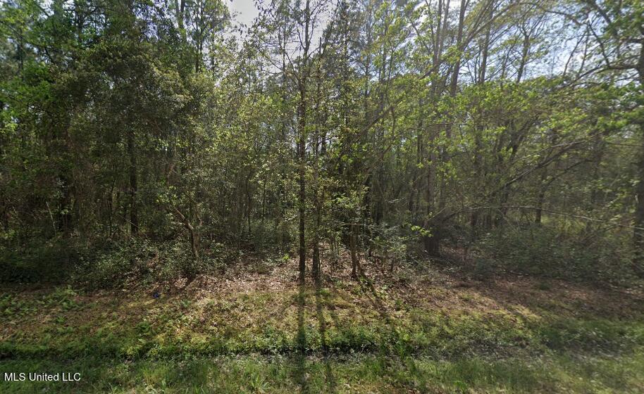 0 E Bolivar Street Property Photo 1