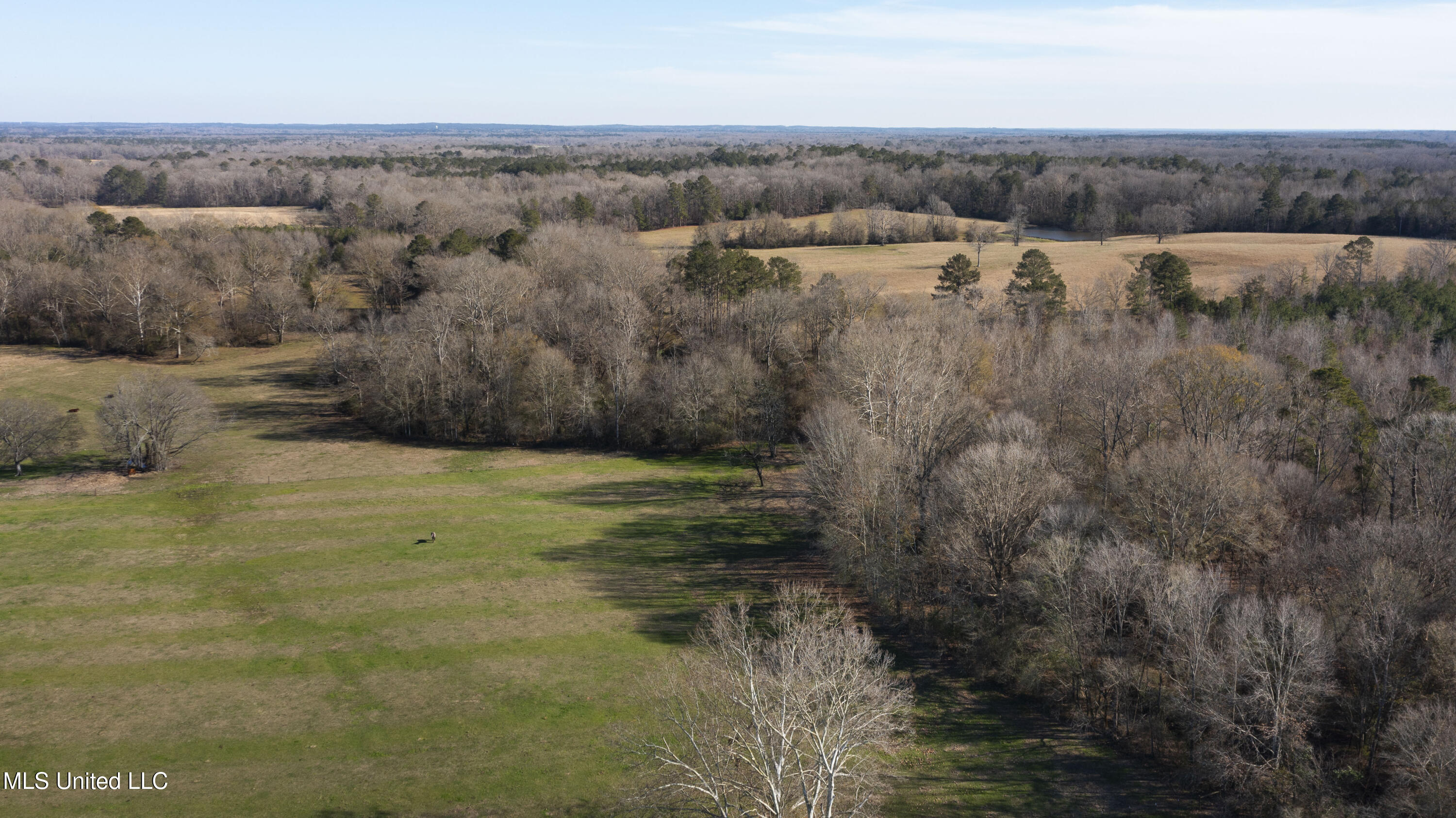 1020 Jack Johnson Road Property Photo 9