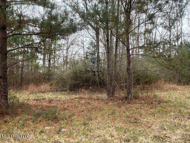 1020 Jack Johnson Road Property Photo 41
