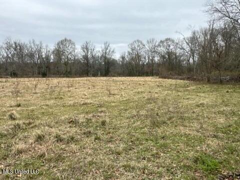 1020 Jack Johnson Road Property Photo 43