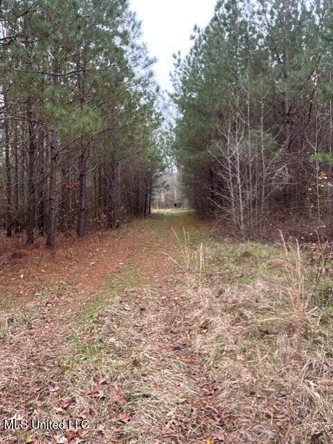 1020 Jack Johnson Road Property Photo 45