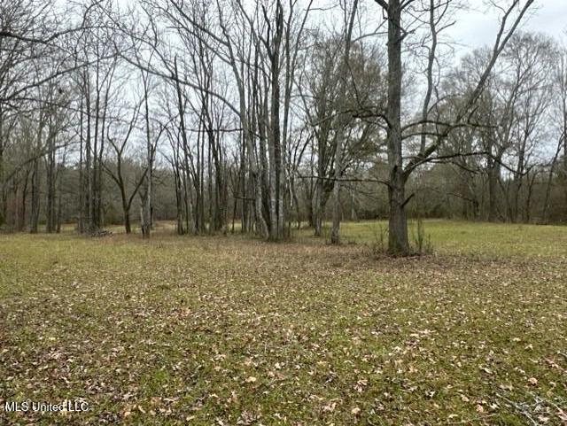 1020 Jack Johnson Road Property Photo 46