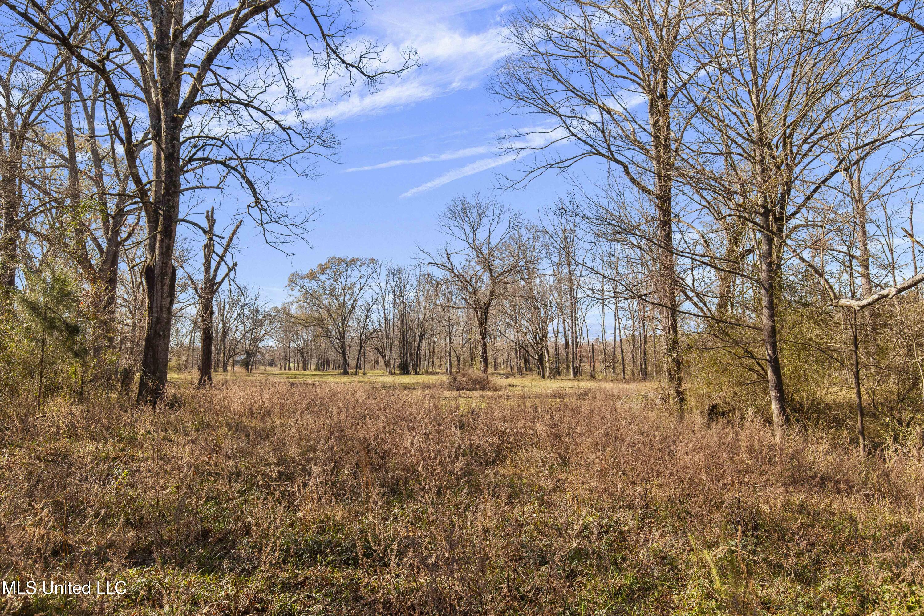 1020 Jack Johnson Road Property Photo 47