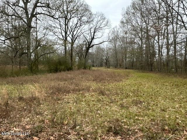1020 Jack Johnson Road Property Photo 48