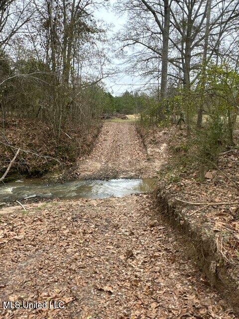 1020 Jack Johnson Road Property Photo 50