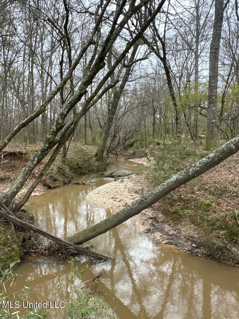 1020 Jack Johnson Road Property Photo 53
