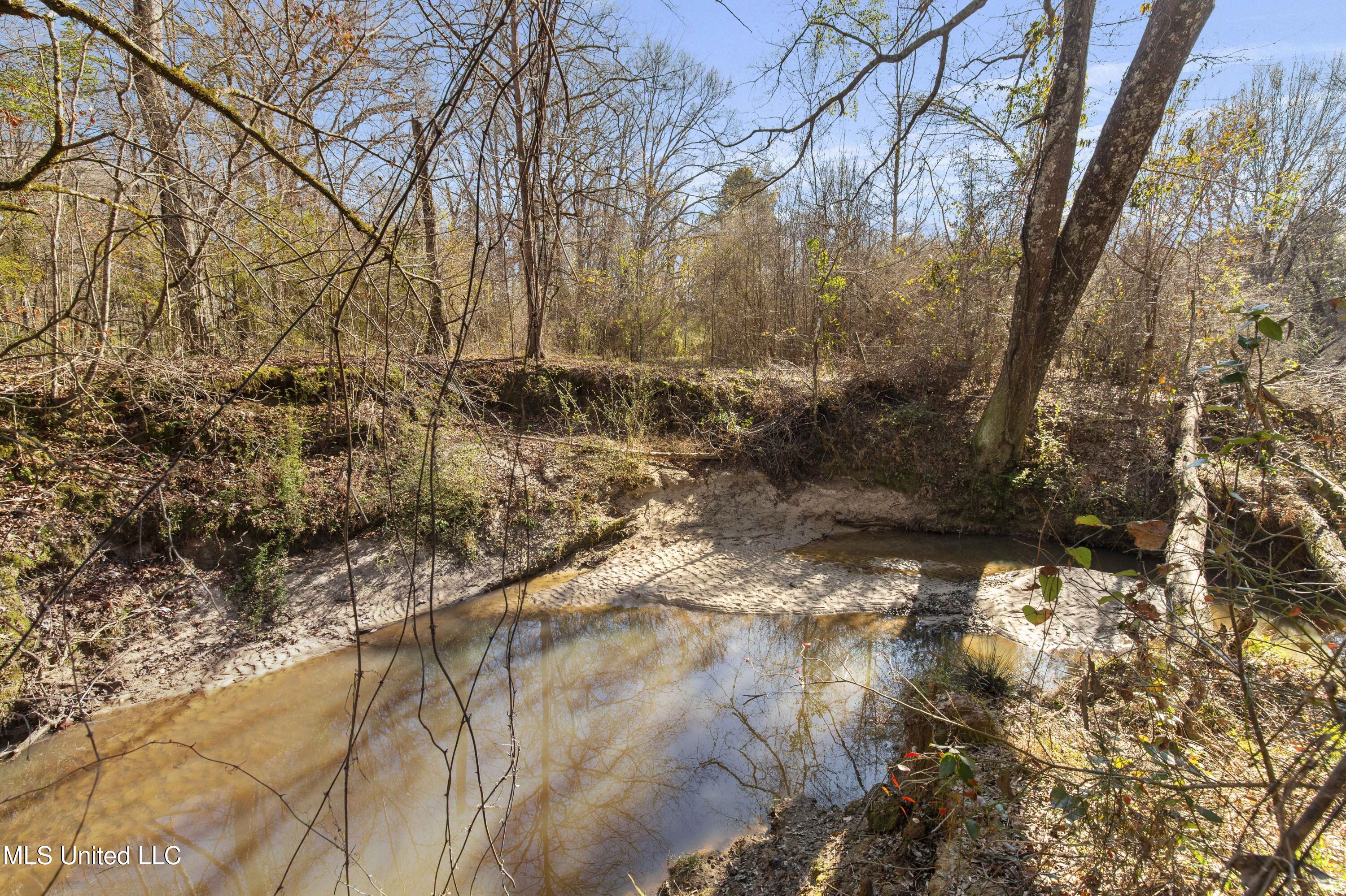 1020 Jack Johnson Road Property Photo 55