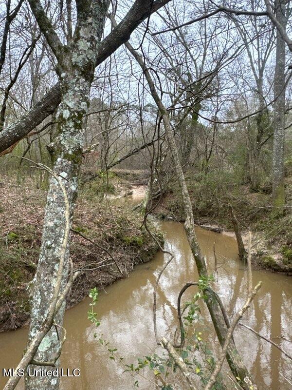 1020 Jack Johnson Road Property Photo 57