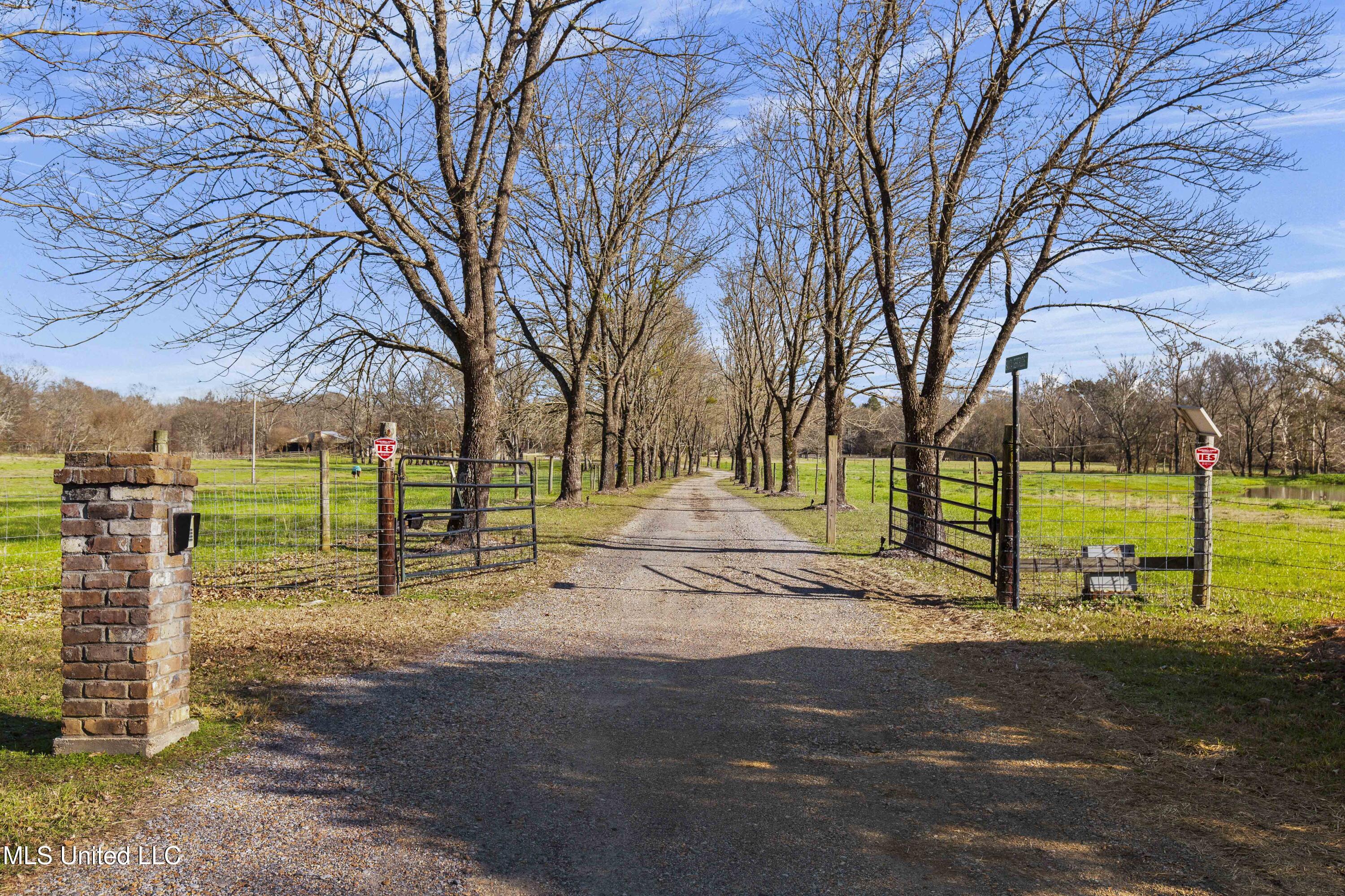 1020 Jack Johnson Road Property Photo 58