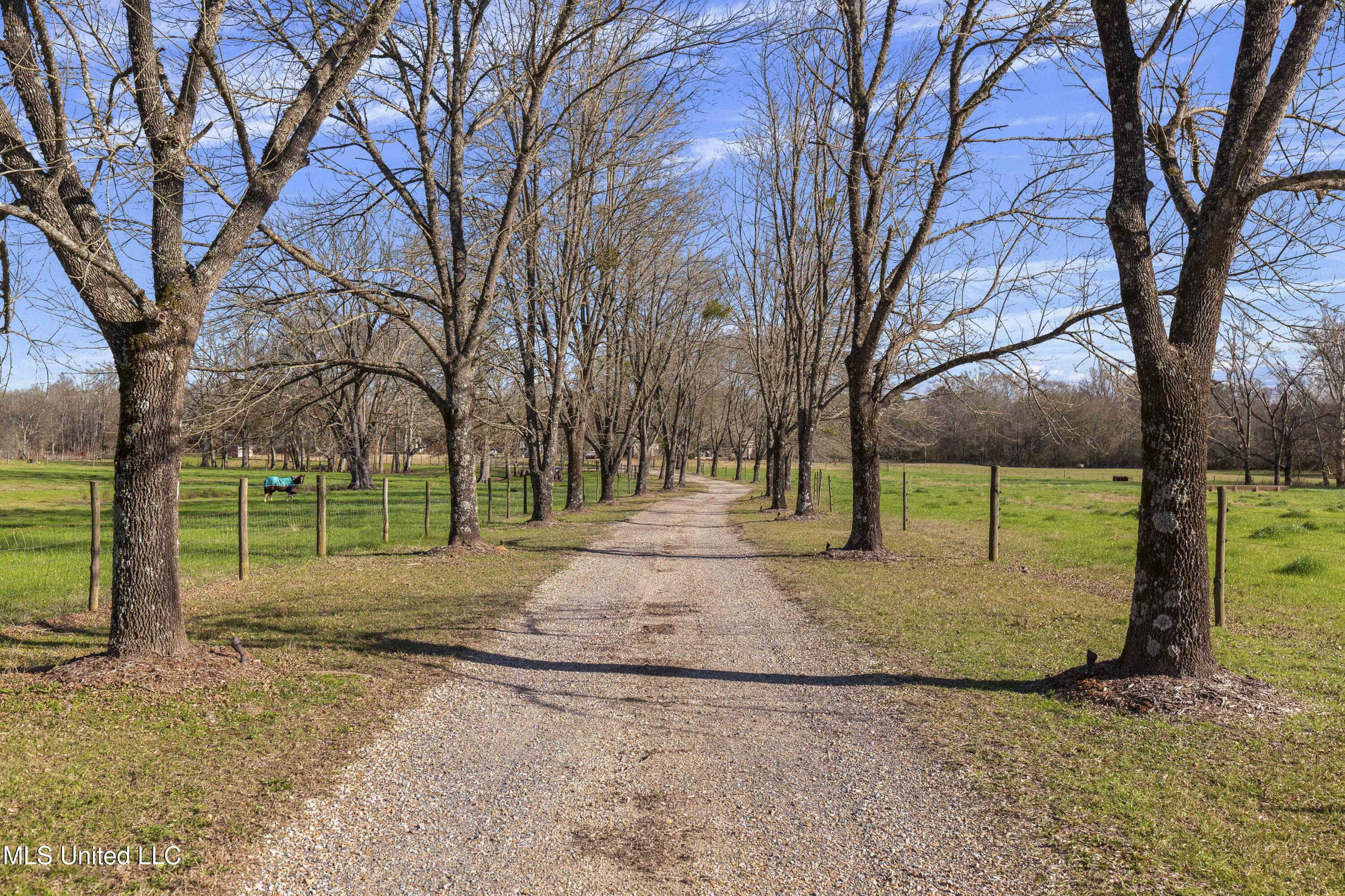 1020 Jack Johnson Road Property Photo 59