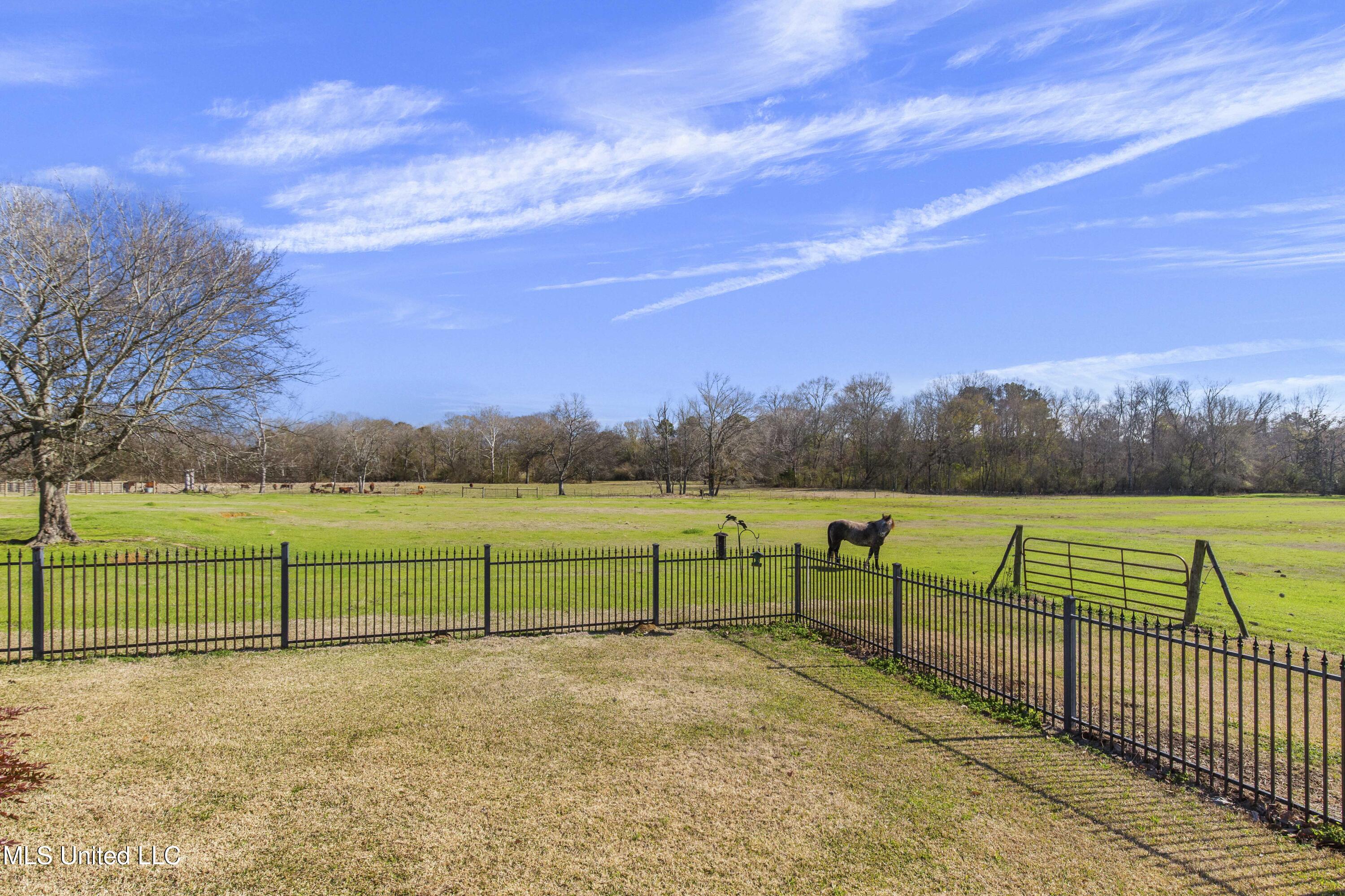 1020 Jack Johnson Road Property Photo 120