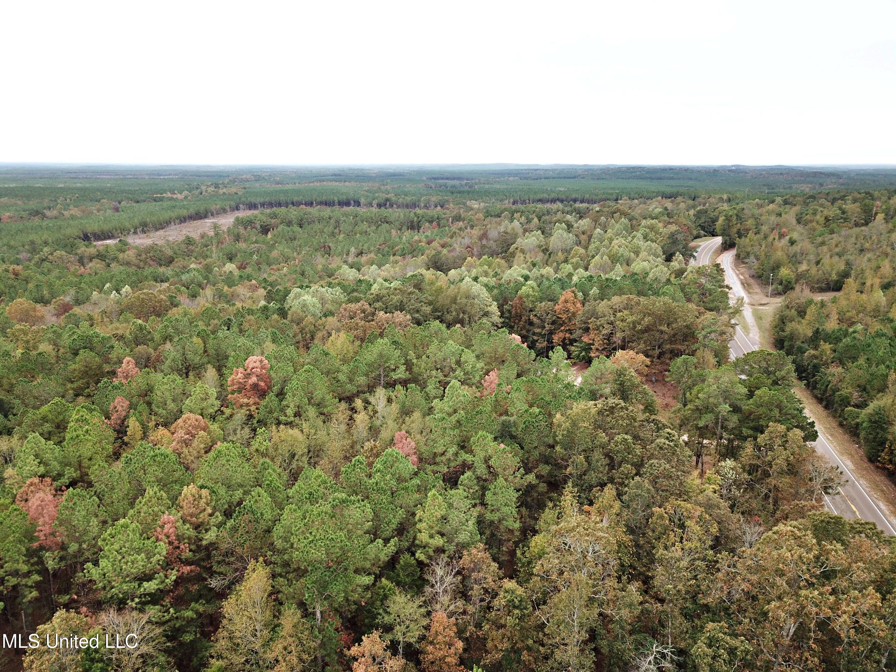 6046 Hwy 15 Property Photo 1
