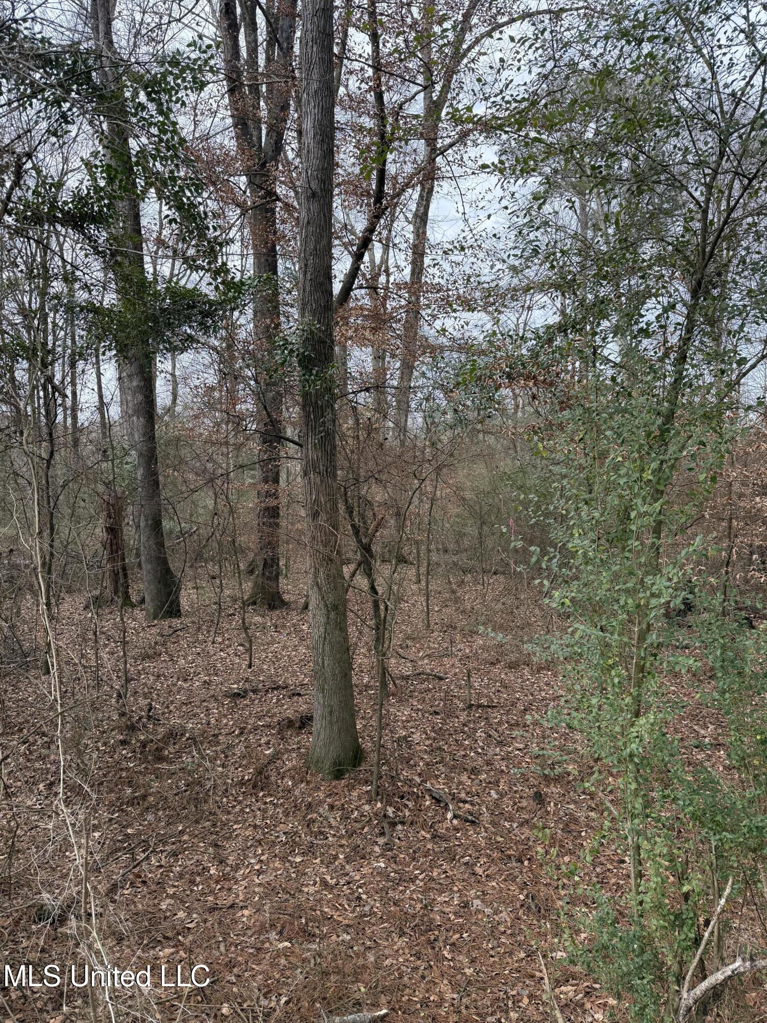 01 N Jordan Street Property Photo 7