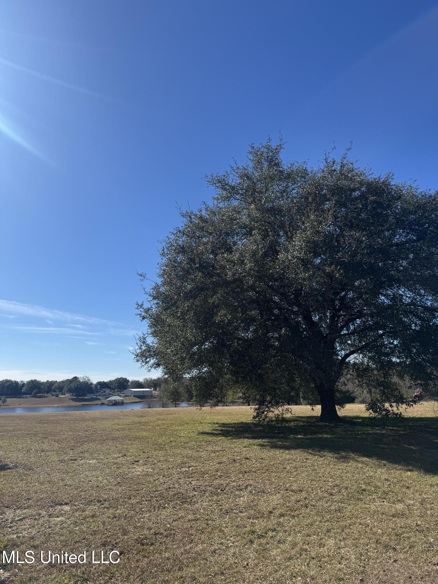 Shavon Drive Property Photo 1