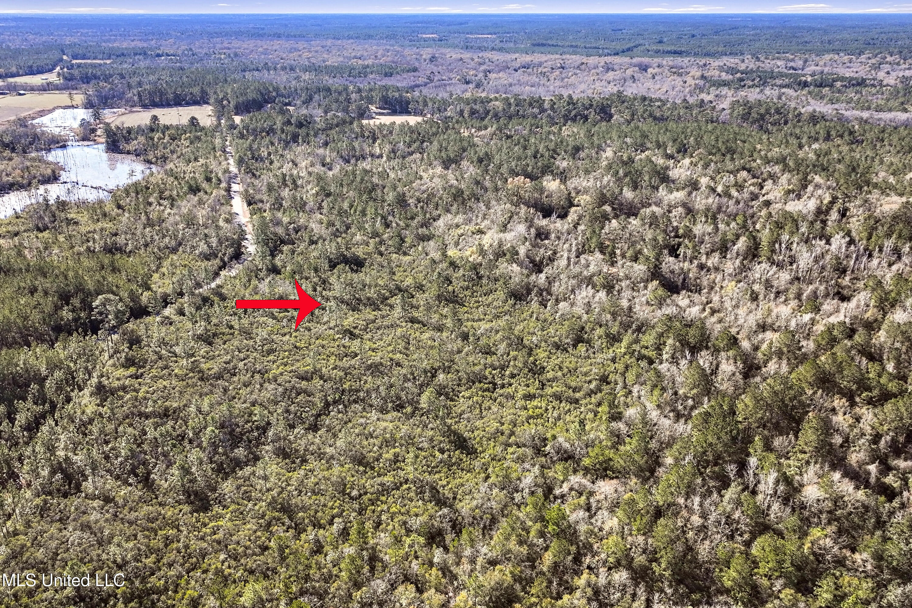 Kit Maples Road Property Photo 10