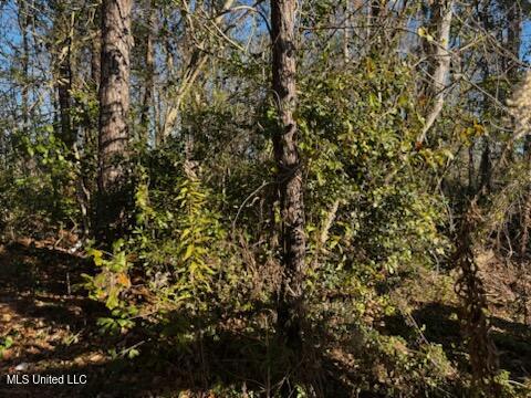 Piute Drive Property Photo 2