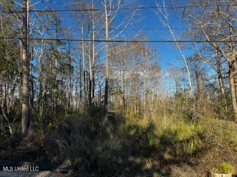 Piute Drive Property Photo 4