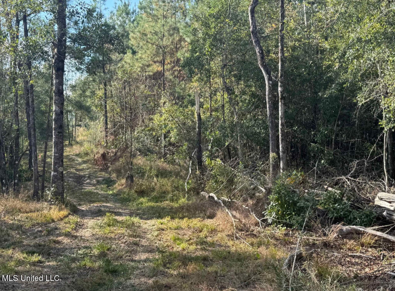 J Bailey Road Property Photo 1