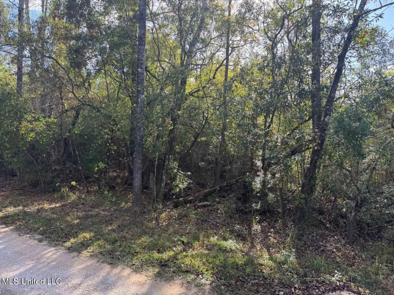 J Bailey Road Property Photo 2
