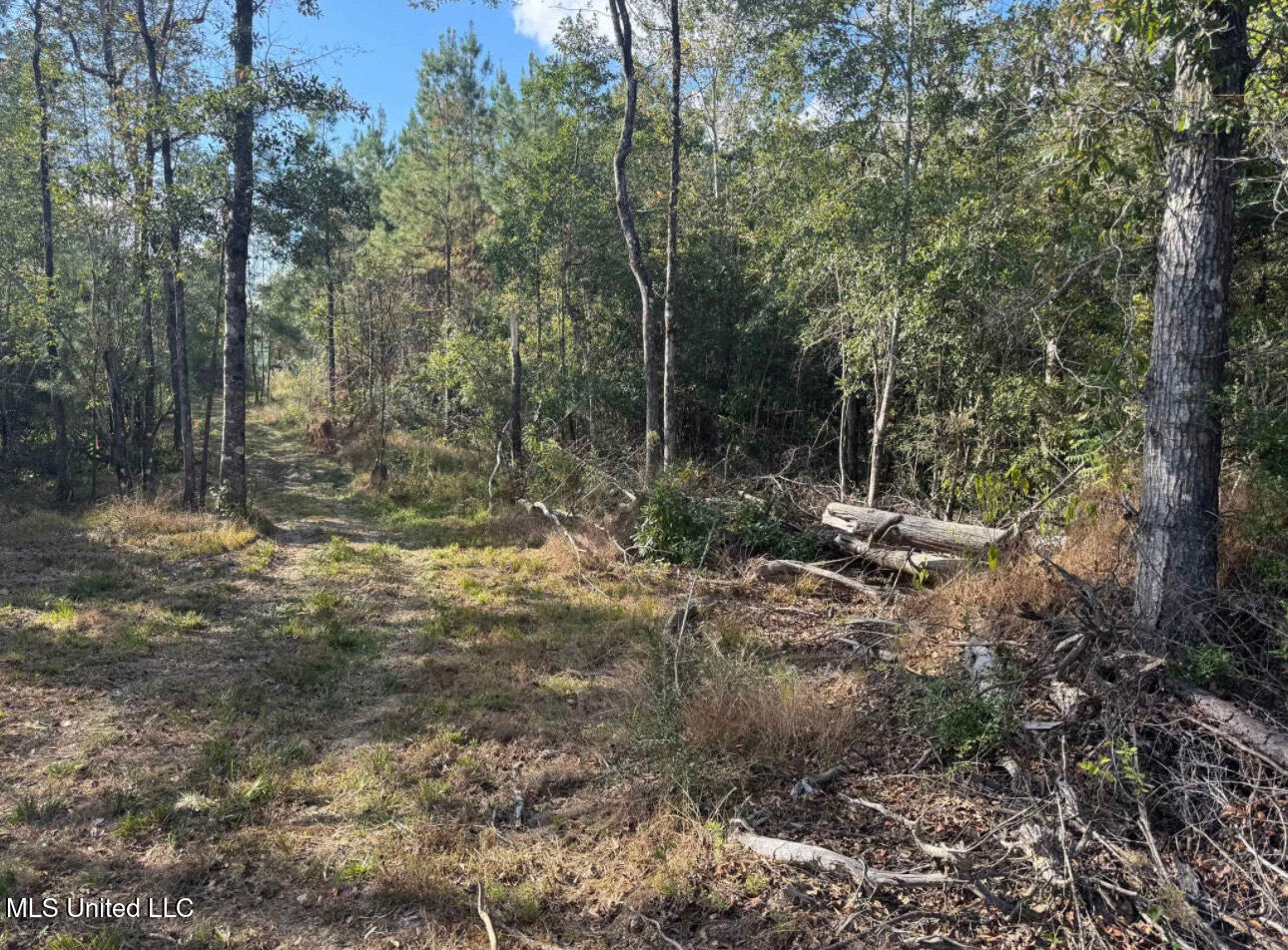 J Bailey Road Property Photo 3
