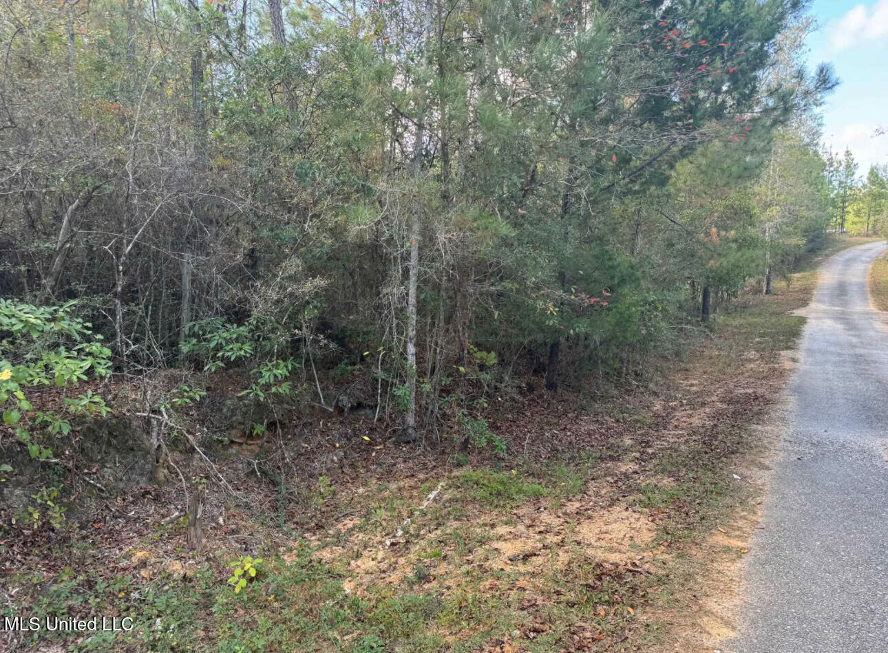 J Bailey Road Property Photo 6