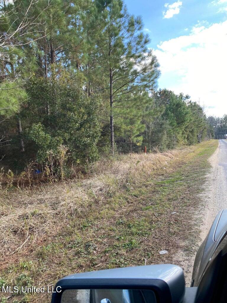 Parcel 2 Shannon Lane Property Photo 1