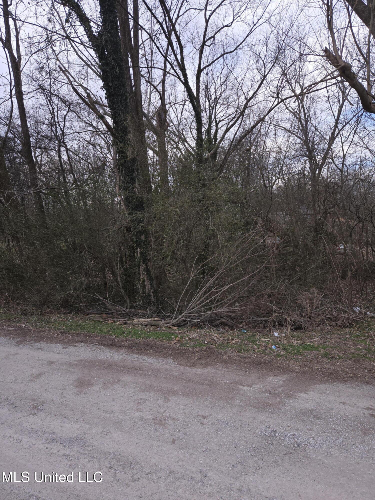 Cochron Street Property Photo 3