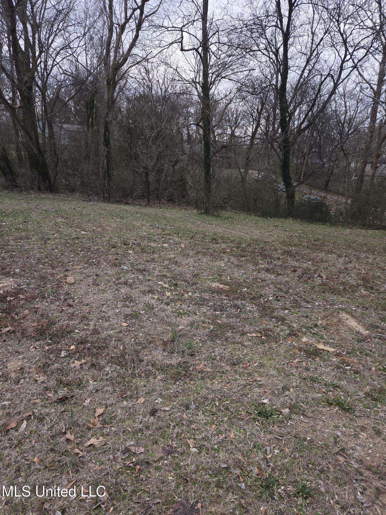 Cochron Street Property Photo 4