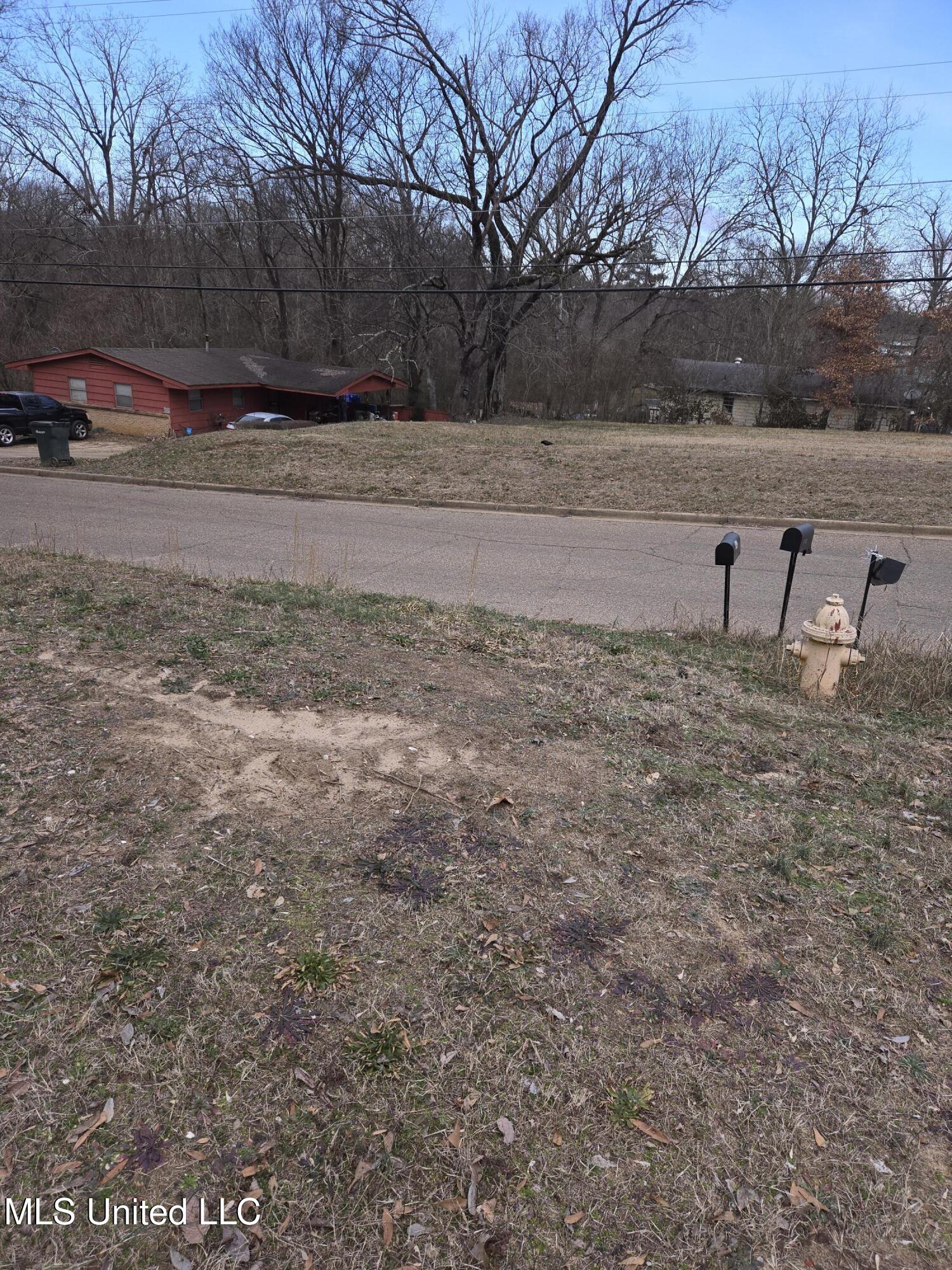 Cochron Street Property Photo 5