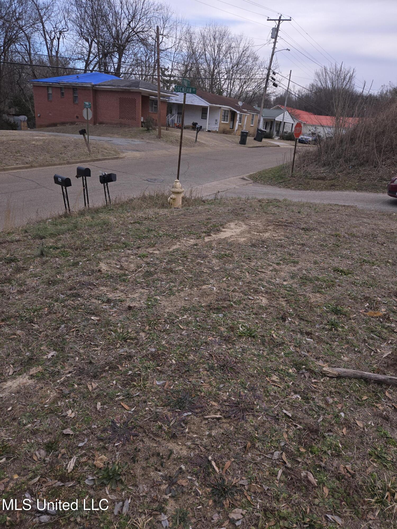 Cochron Street Property Photo 6