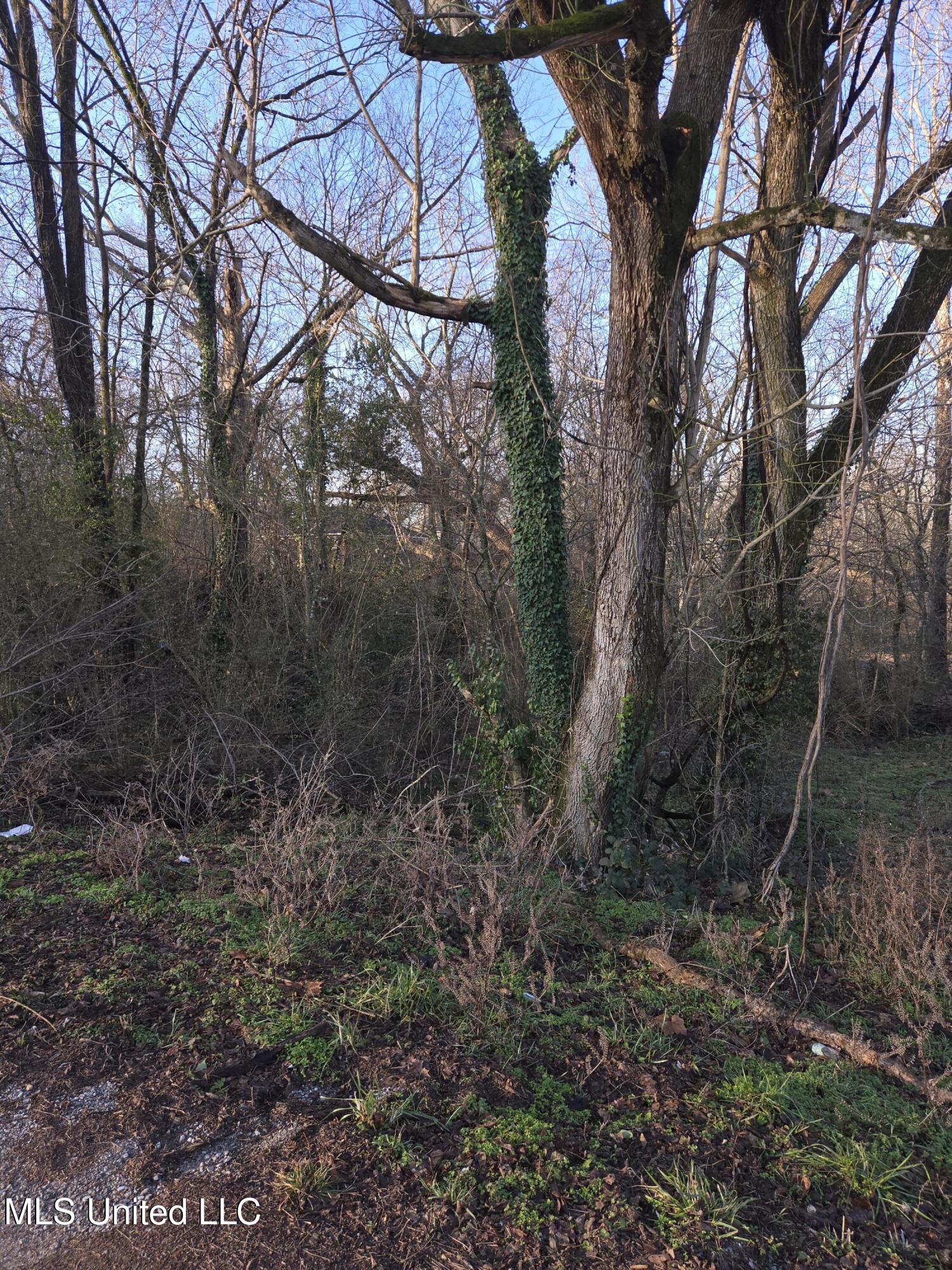 Cochron Street Property Photo 7
