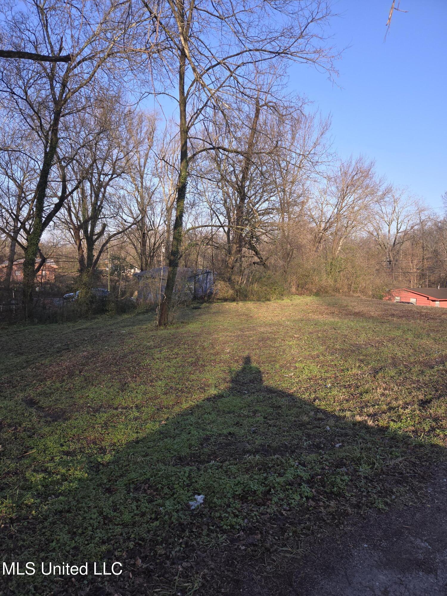 Cochron Street Property Photo 9