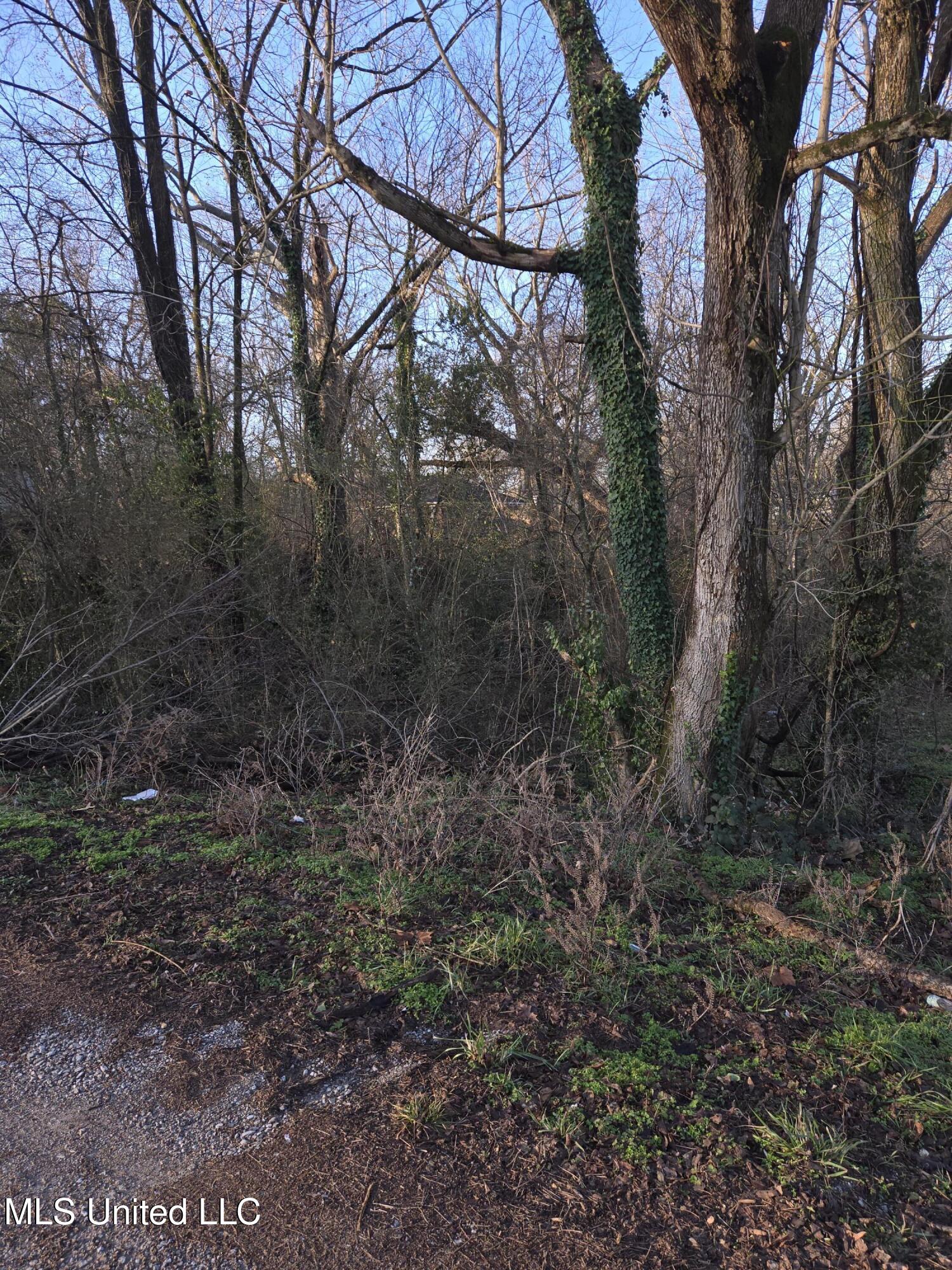 Cochron Street Property Photo 11