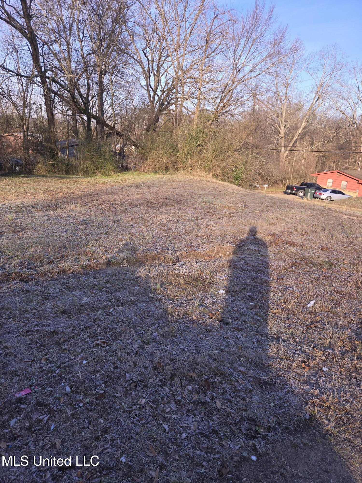 Cochron Street Property Photo 13