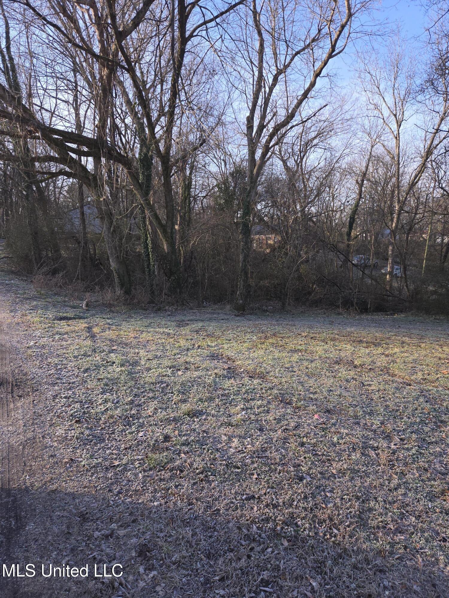 Cochron Street Property Photo 15