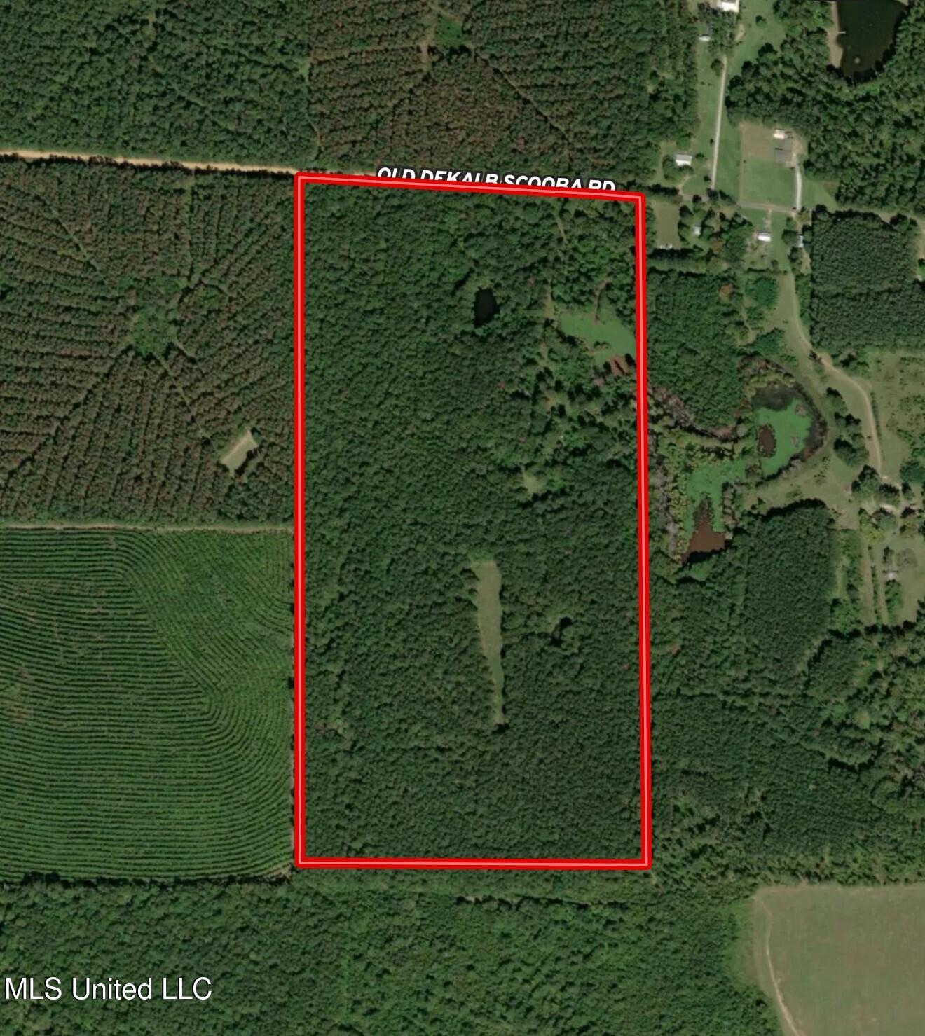 Kemper County Real Estate Listings Main Image