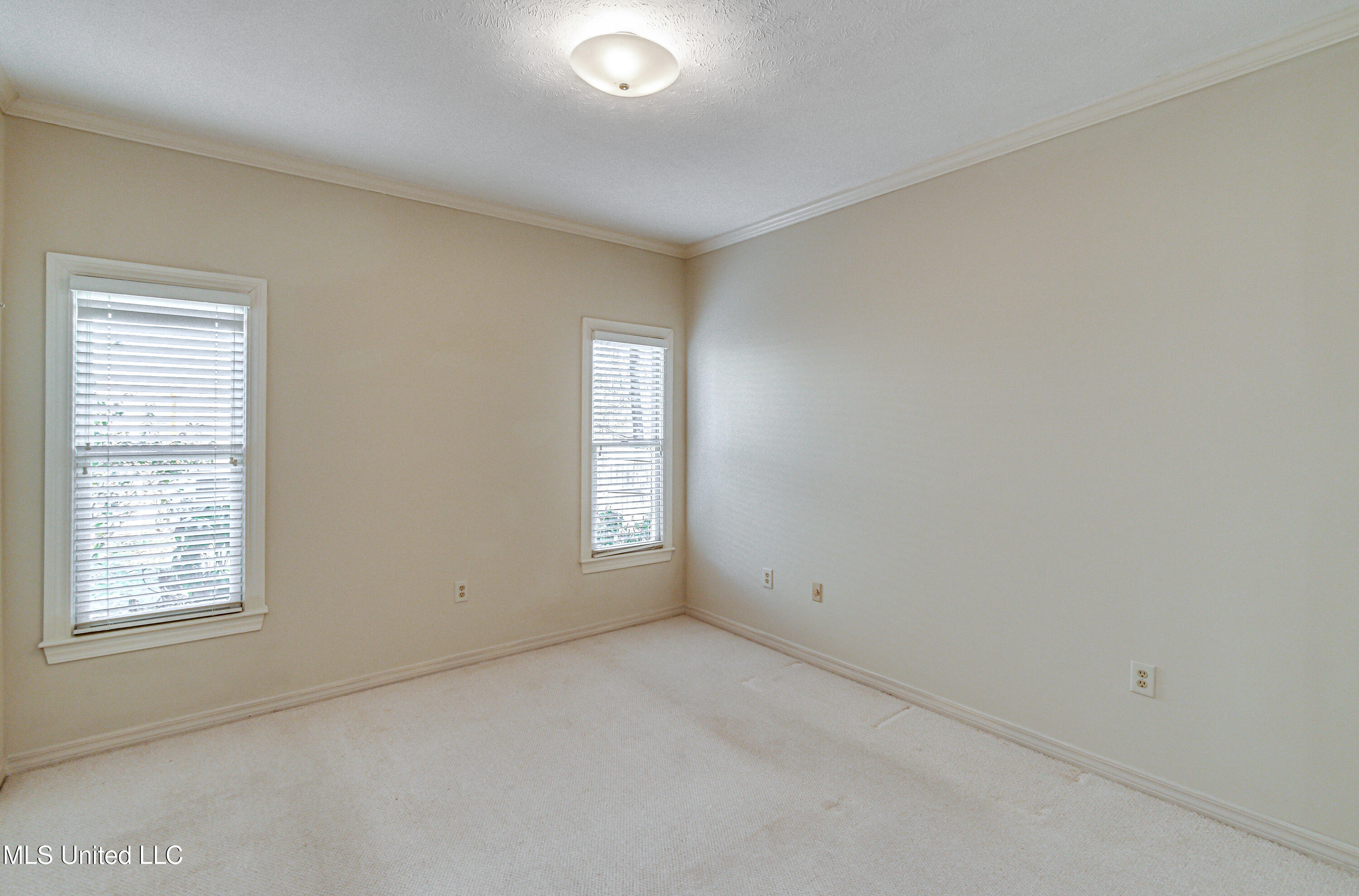 560 Dixton Drive Property Photo 43