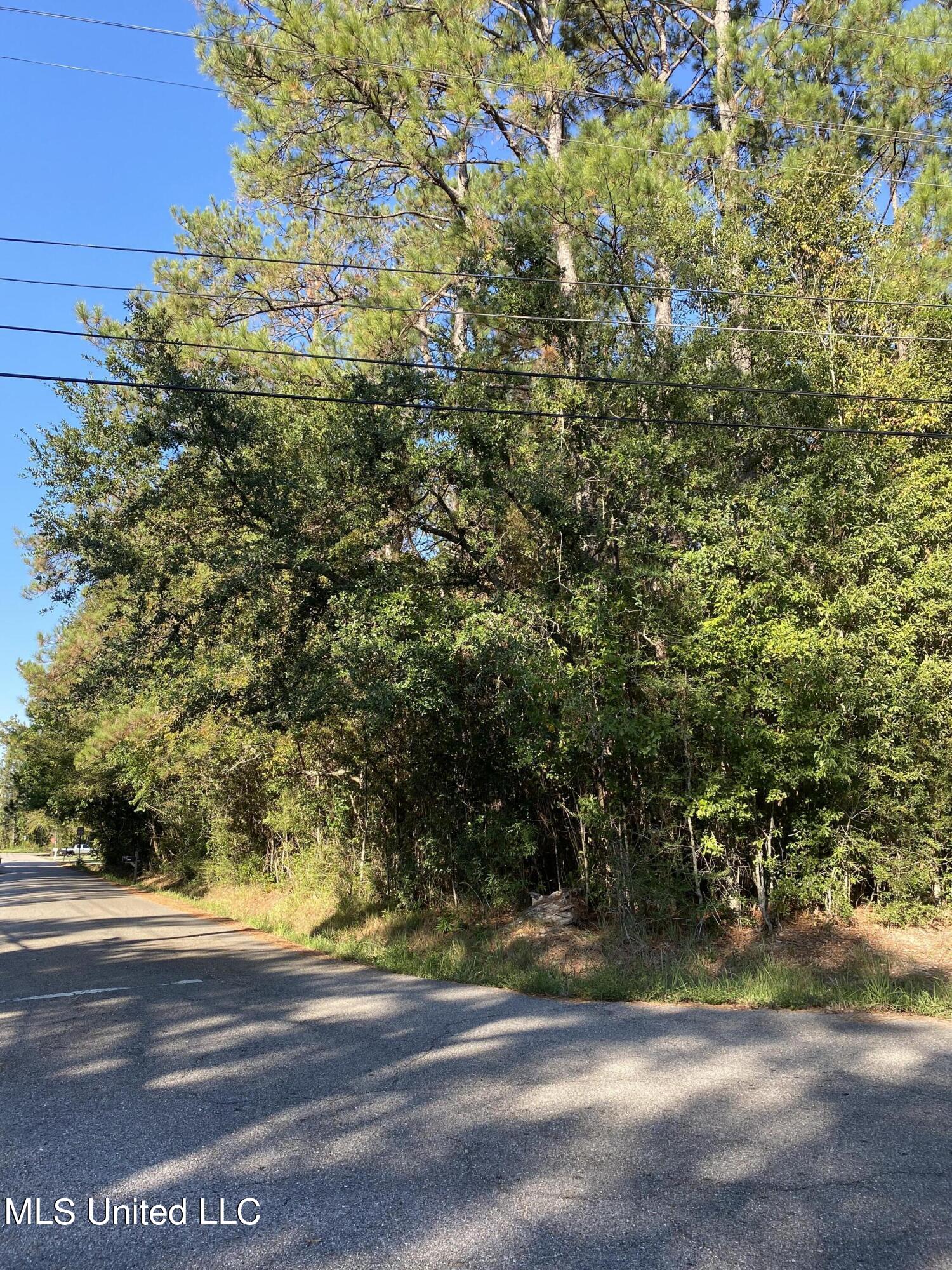 Elm Street Property Photo 4
