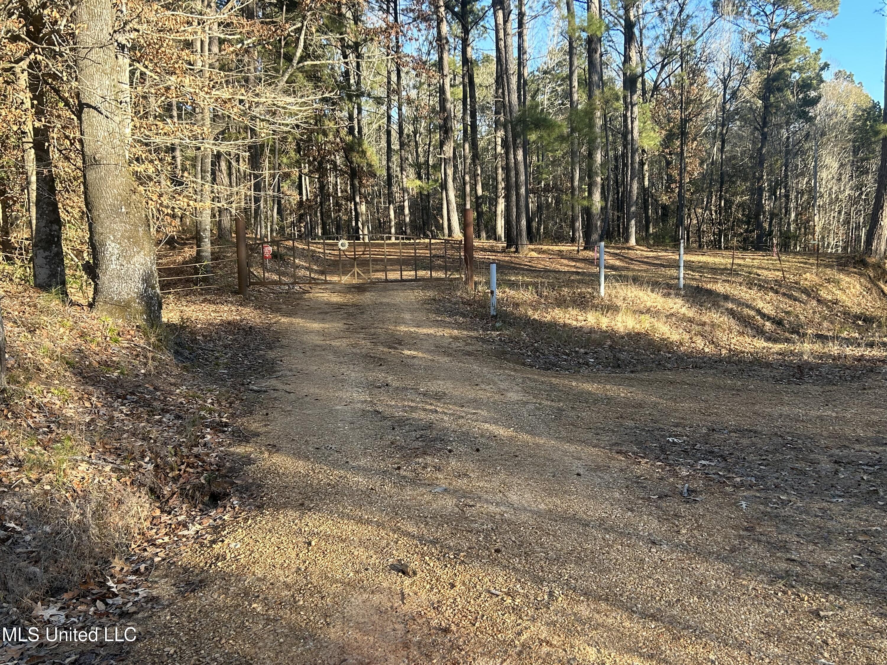 Willie Neyland Road Road Property Photo