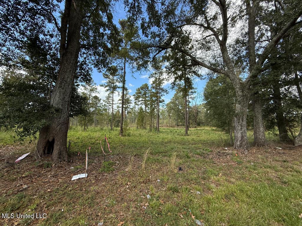 Old Hwy 33 Property Photo 1