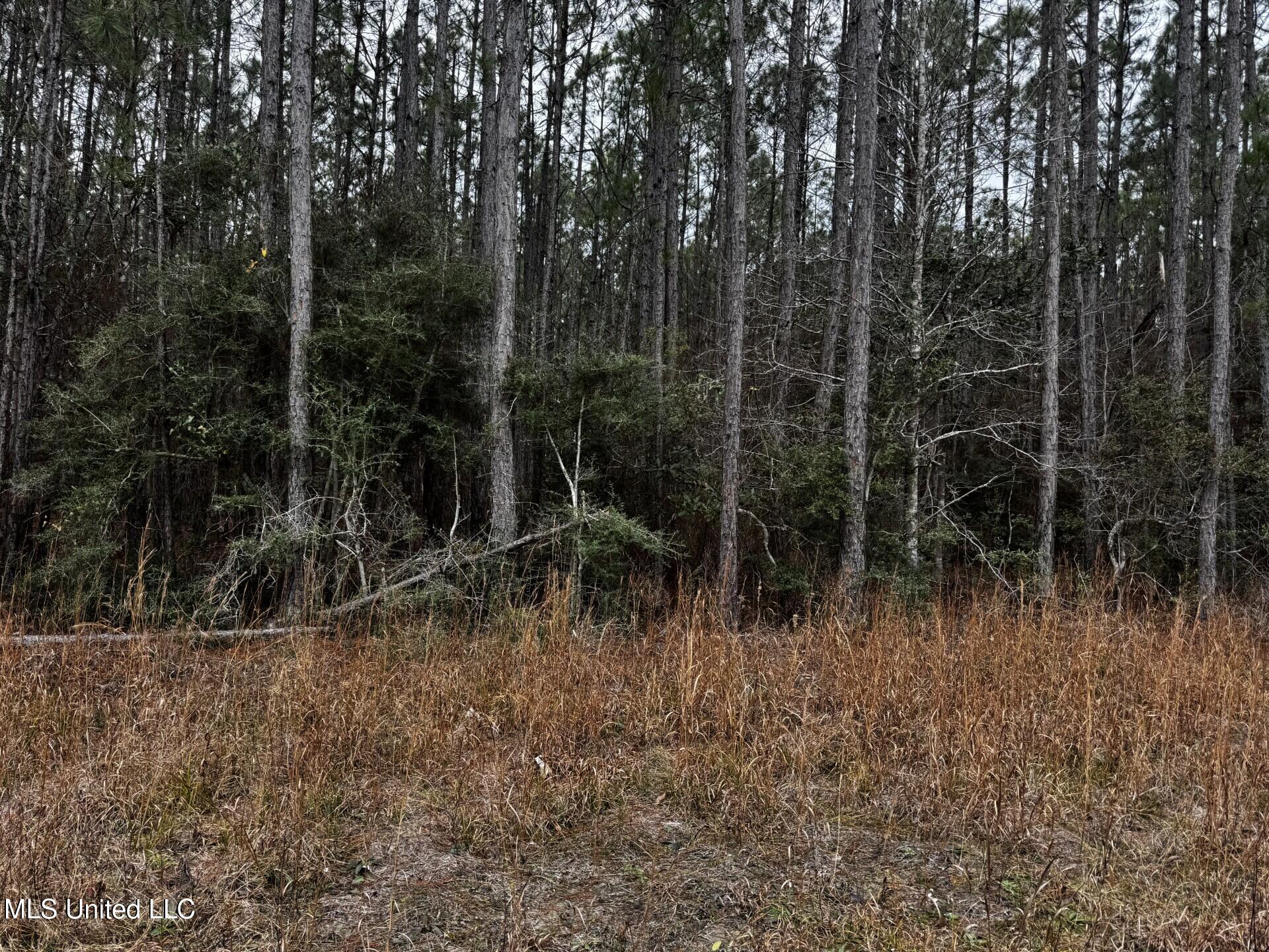 Lakeshore Drive Property Photo 1