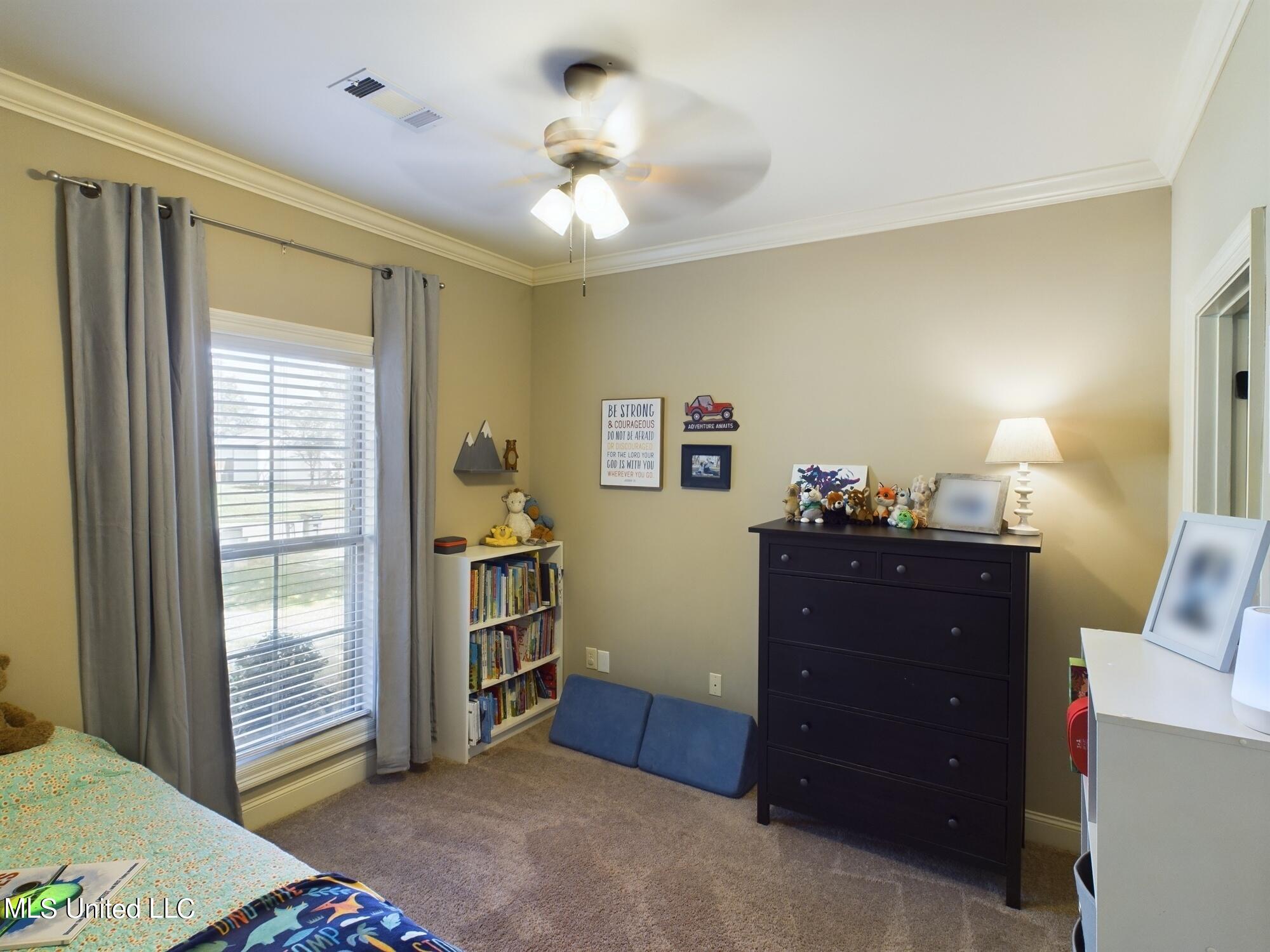 125 Trailbridge Crossing Property Photo 13