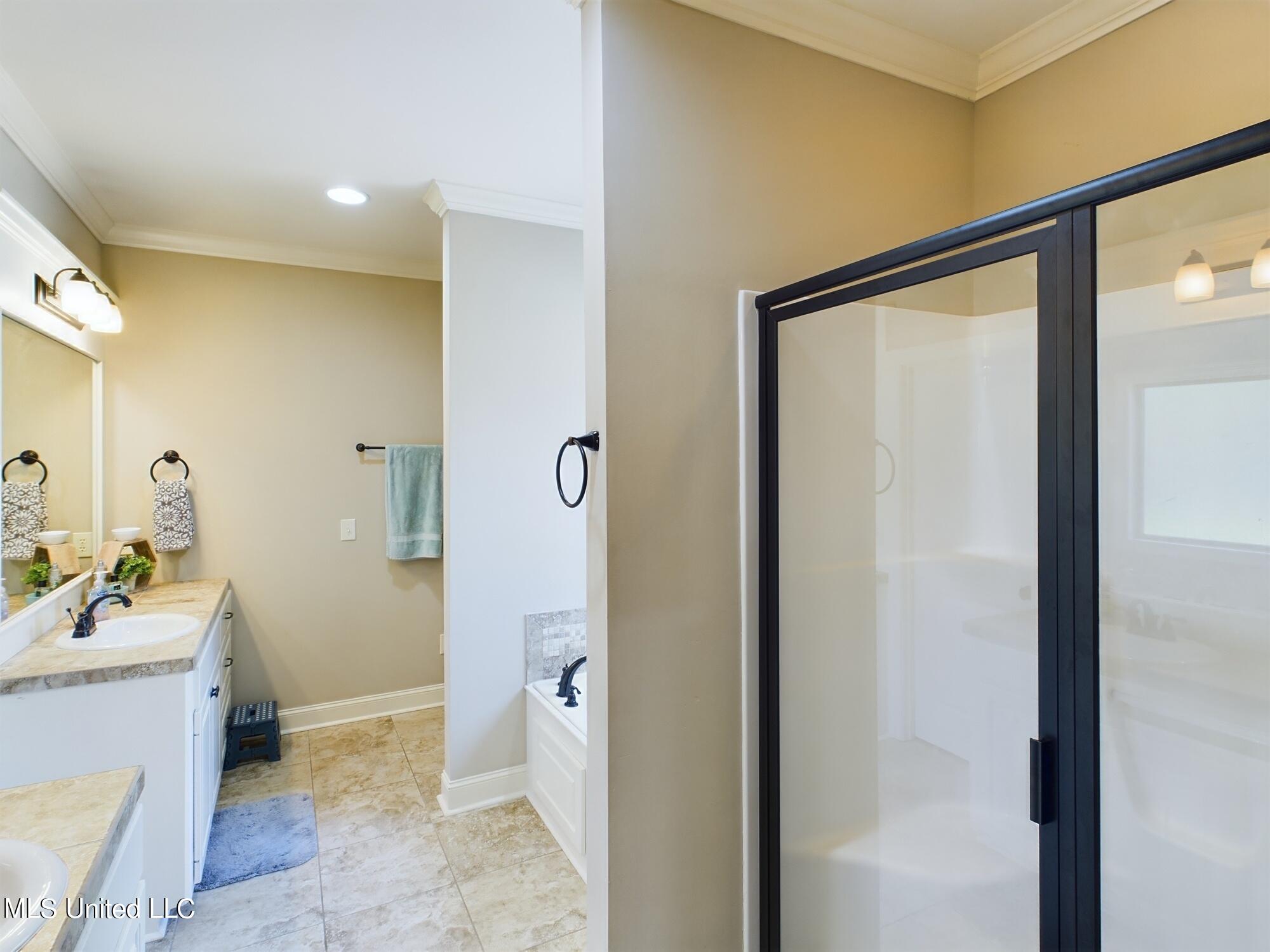 125 Trailbridge Crossing Property Photo 19