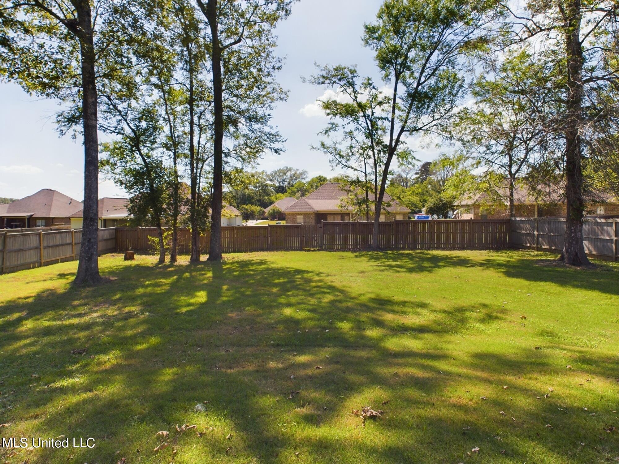 125 Trailbridge Crossing Property Photo 27