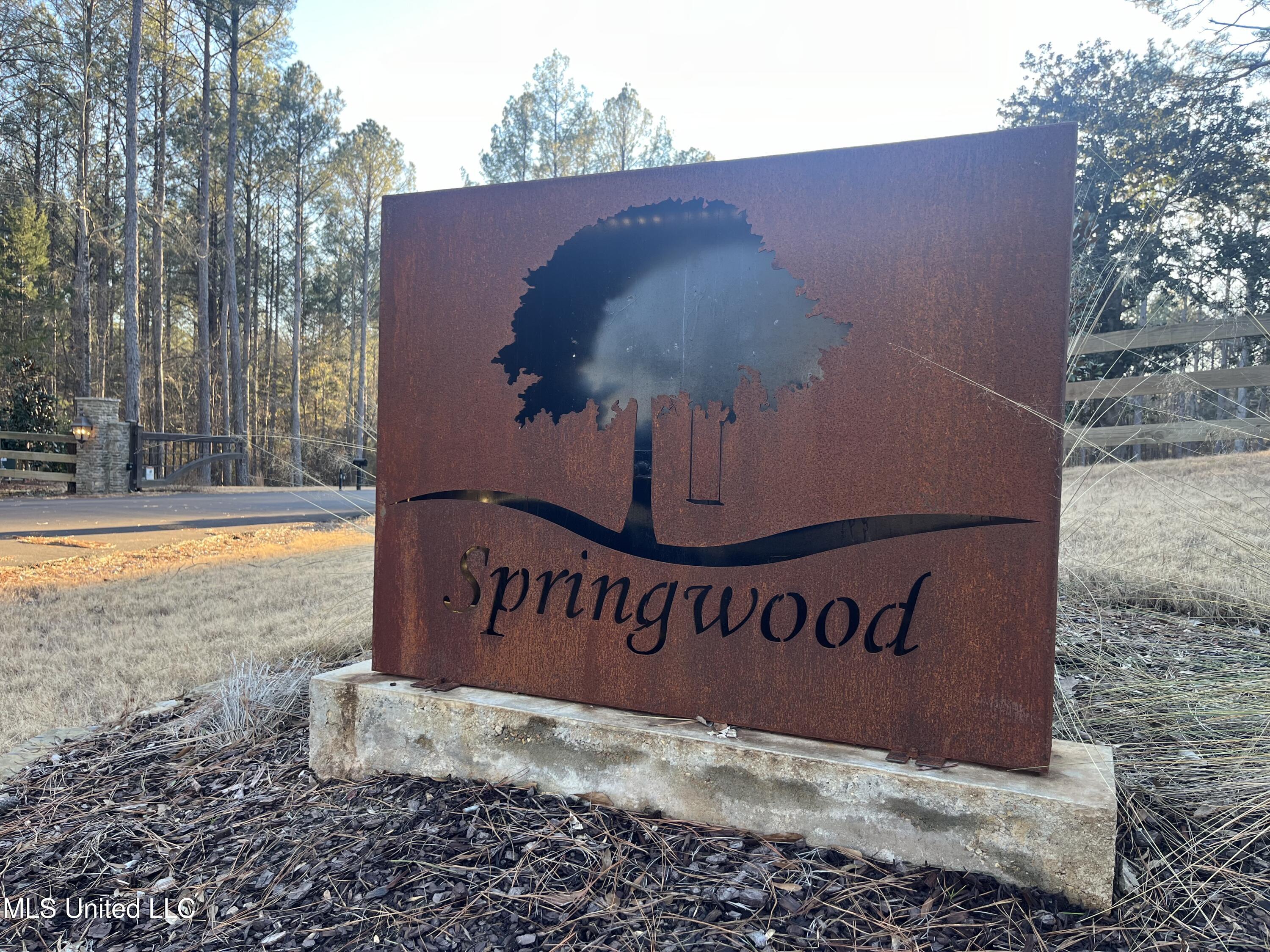 Springwood Trail Property Photo 3