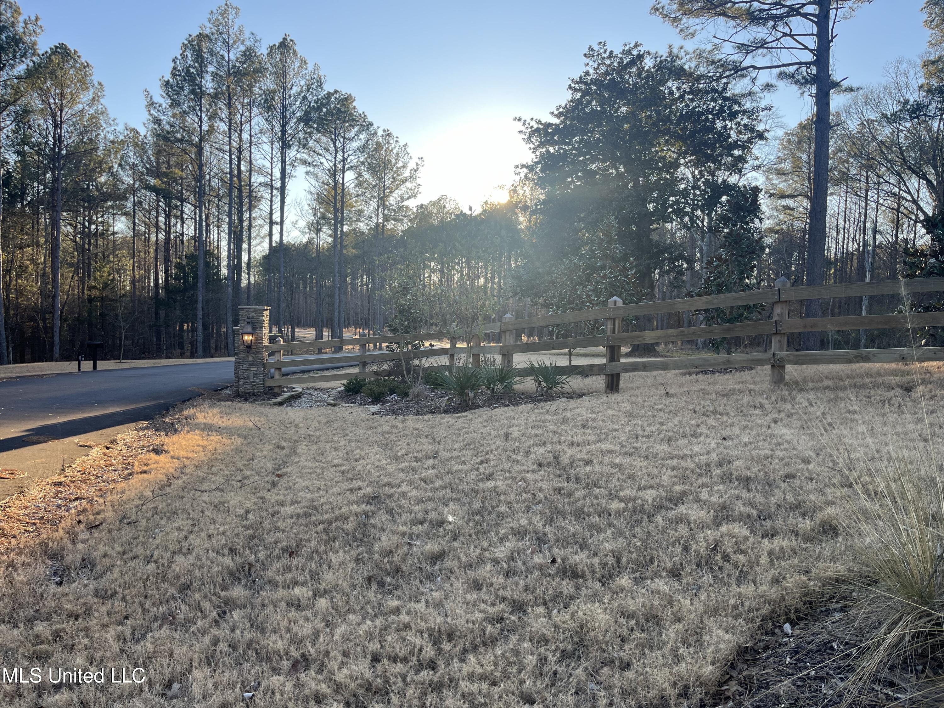 Springwood Trail Property Photo 5